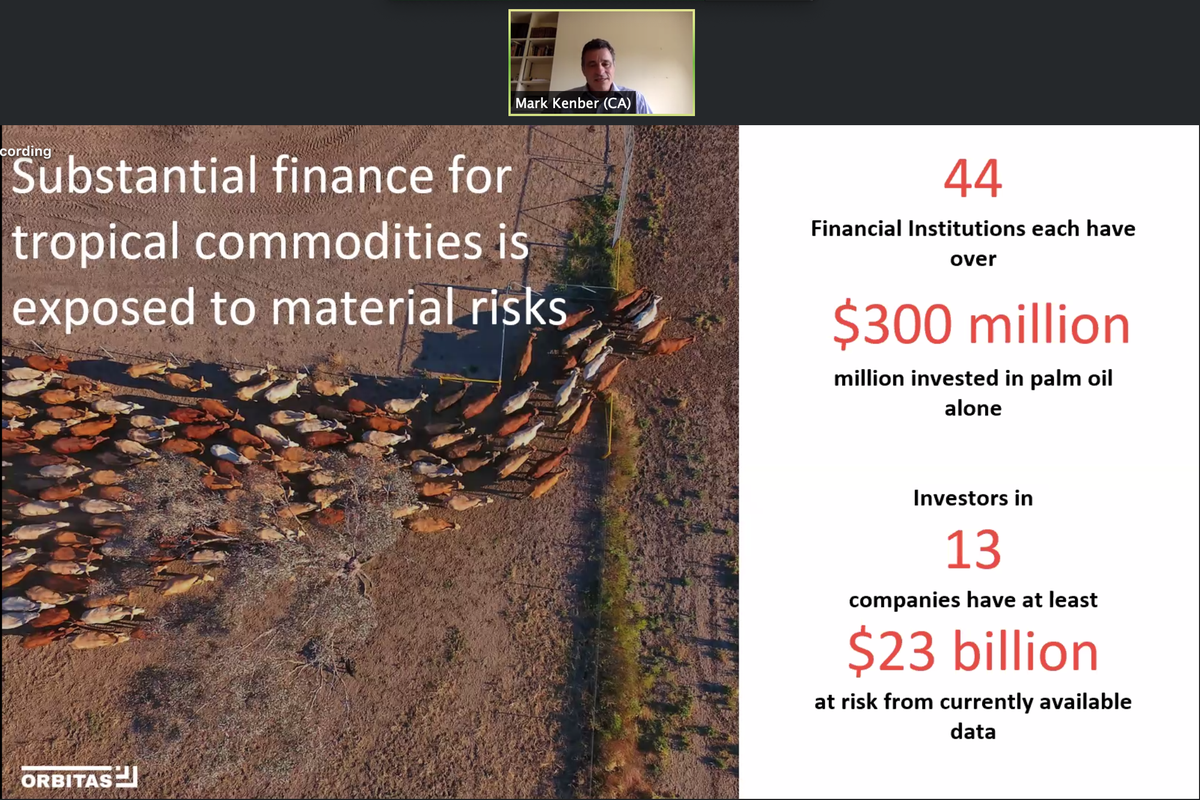 OrbitasFinance's tweet image. #StrandedAsset risks are real for industries tied to #deforestation. "Those companies that have invested already in R&amp;amp;D have invested in sustainable yield production and are not dependent on expanding into currently forested land will benefit in the future." @MarkKenber