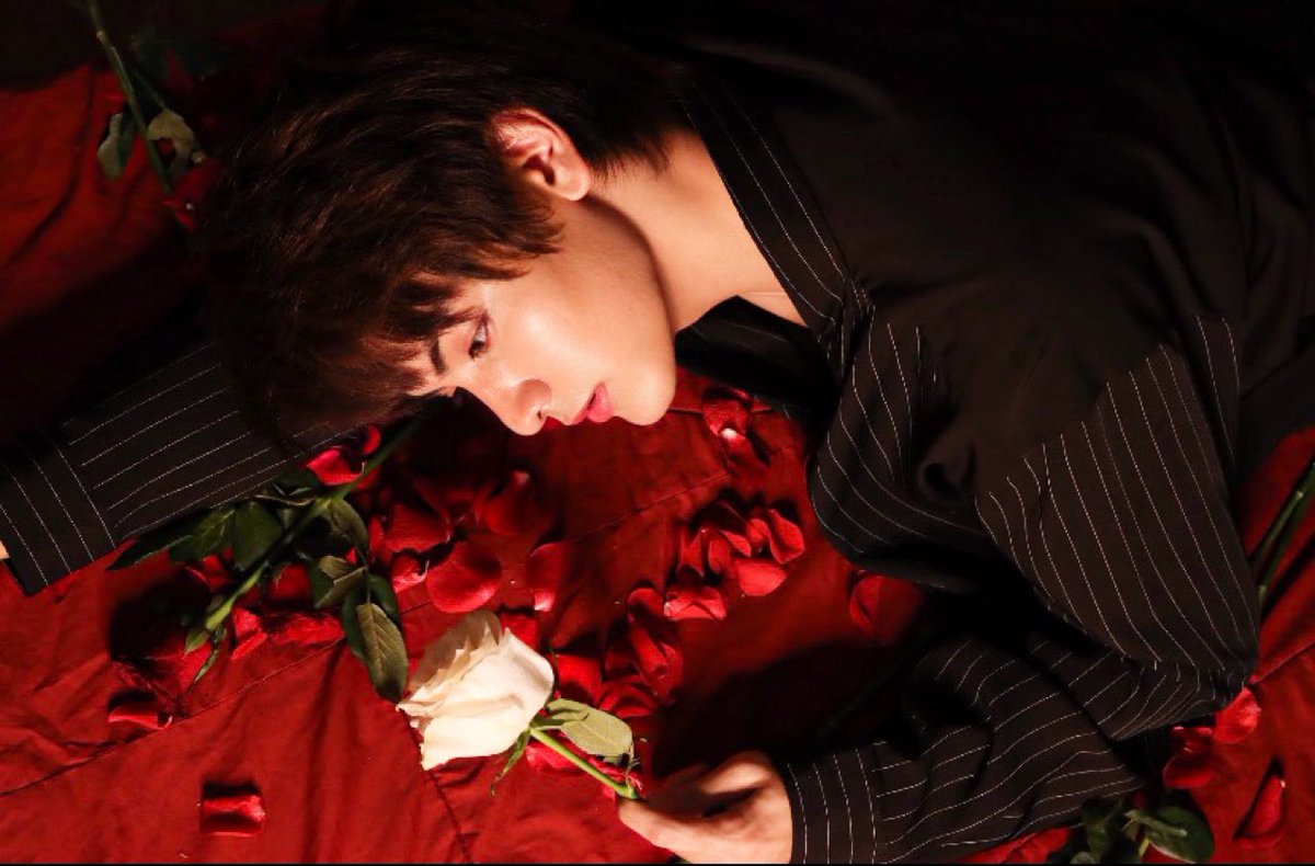 JoongOfficialTH's tweet photo. 🌹 กุหลาบไม่ต้องการ
แค่อยู่ด้วยกันนานๆก็พอ 🥀

Good Night... 🌛⭐ 

#ดราก้อนจุง
#กองพลโวโด้ 
#JoongOXQ https://t.co/BxqezvPhn4