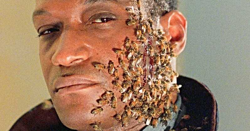 AfstTamu's tweet photo. TAMU Associate Provost for DIVERSITY &amp; Film Expert ROBIN MEANS COLEMAN to discuss CANDYMAN 
via Zoom on JULY 22 at 7 PM at
https://t.co/q3OxsIKb9J
Meeting ID: 928 2810 6483
Password: QFS https://t.co/yuhEytEPsj