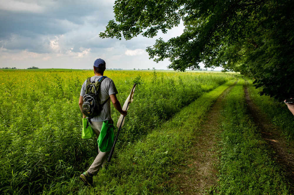 NewsAtIllinois's tweet photo. Chasing bumble bees with Tommy McElrath @monotomidae BEHIND THE SCENES in a restored prairie and remnant old-growth forest. https://t.co/TBJYycnwRj #ILLINOIS research. Photos by @FredZwicky McElrath and @LbrianS https://t.co/jQoR1Epoit