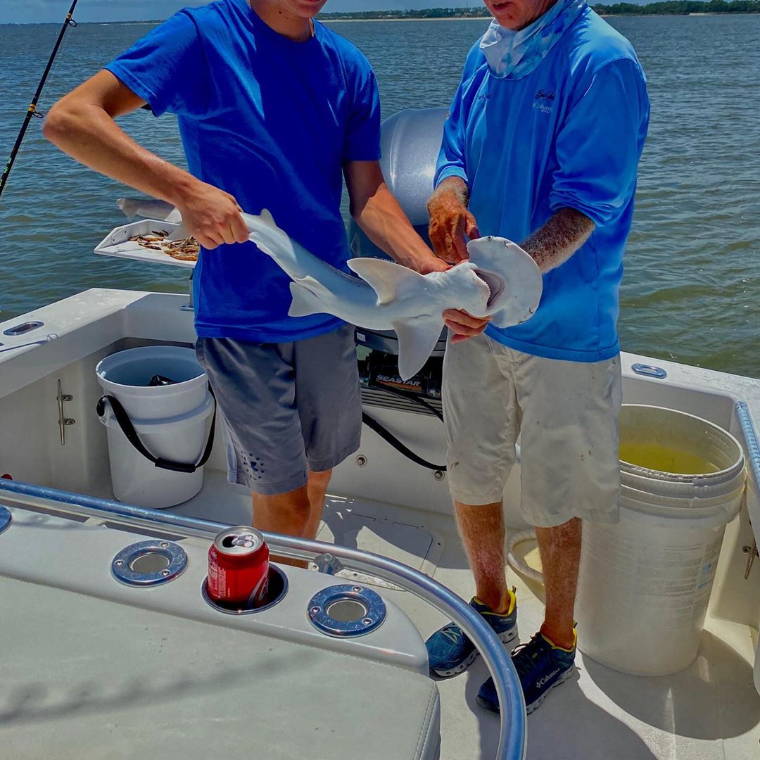 baby shark doo doo doo

📷: Noah Schnapp via Instagram.