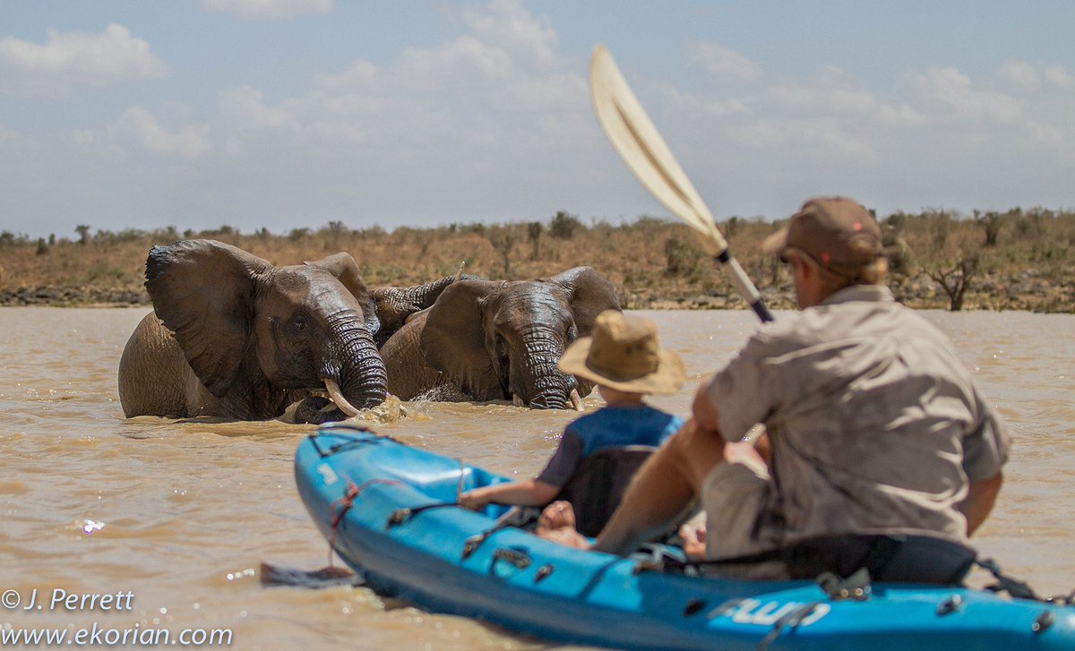 An unforgettable #SafariExperience is waiting for you.

#kayakingsafari #kayakingadventure #MugieDam #familyvacation #mugiecamp #safaricamp #amazingdestinations #kayakingadventures #adventurevisuals #adventurers #adventureseeker #adventurer #wonderfuldestinations #adventurelife