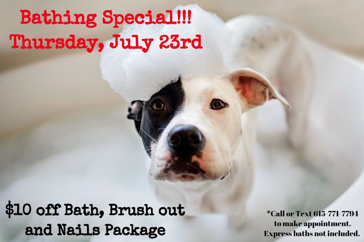 MySecondHomePet's tweet photo. Don't miss out on our Bathing Special this Thursday only! https://t.co/O4sC4bEPpj