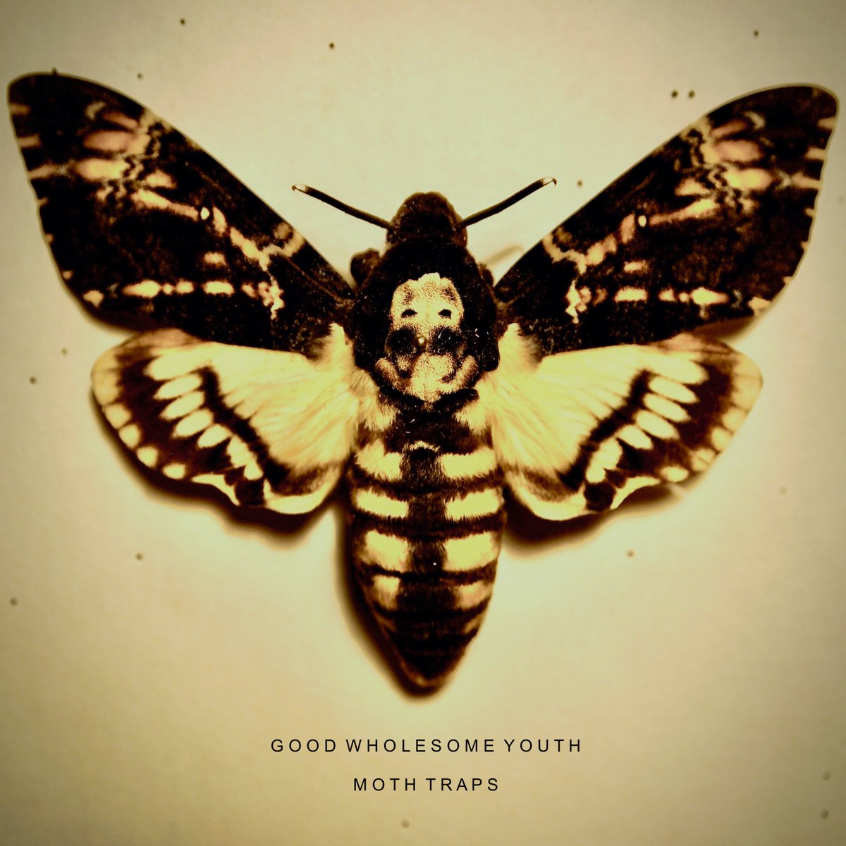 ExposedCode's tweet image. ‘Good Wholesome Youth’, the debut single by Moth Traps, is released on 4th September on Exposed Code Records.