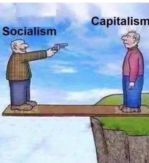 CatsiNY's tweet photo. Socialism. VS. Capitalism https://t.co/RmmbnShRrx