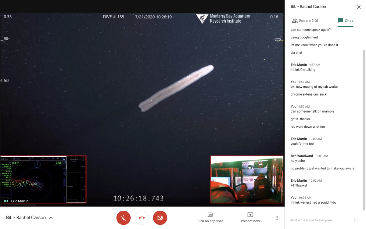 KakaniKatija's tweet photo. Oooooo a #pyrosome. Day 2 of @BioinspirLab @MBARI_News #RVRachelCarson #MiniROV #MLTracking tests and I'm joining the team remotely using #telepresence. Diving down now to 400 m in @MBNMS. https://t.co/rf33uHy2fO
