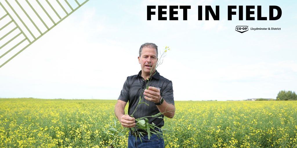 @LloydCoop tweet media