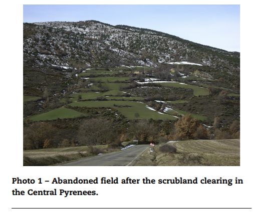 23/ On top of this, it can regulate the geo-system and support of a wide variety of habitats. The combined use of extensive livestock and scrubland clearing in selected areas with abandoned fields is also proposed by various authors