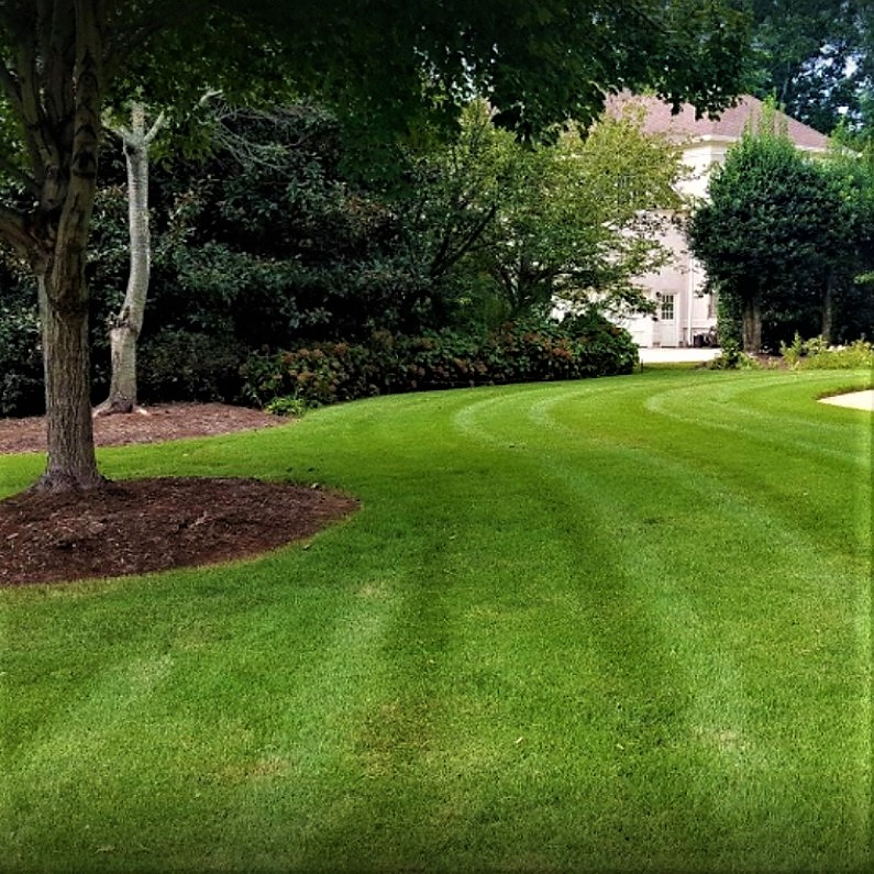 CooperLawnscape's tweet photo. We provide top-rated professional lawn care and landscape design for both residential and commercial properties. https://t.co/hPX3DzqHYe