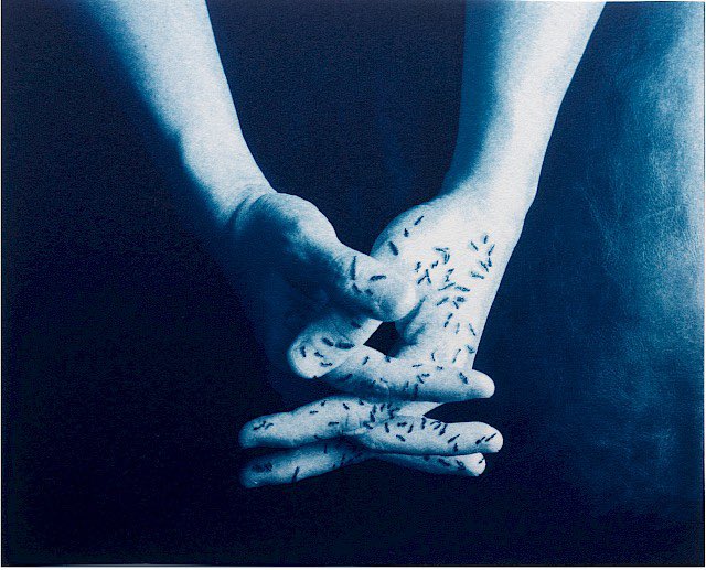 JonahCalinawan's tweet photo. I Dream of Ants. Cyanotype photographic drawing. Purchase link below. Last weekend, I had a dream that mystified me so much that I had to analyze it.  https://t.co/TWOQcktKWk

#cyanotype #carljung #photography #dream https://t.co/0WJH6tNc3c