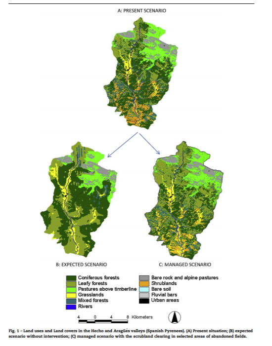 24/ The authors present an analysis of the predicted scenario for the mid-21th century if the present rate of re-vegetation continues (Fig. 1B), or if scrubland clearing will be carry out in selected areas of abandoned fields (Fig. 1C).