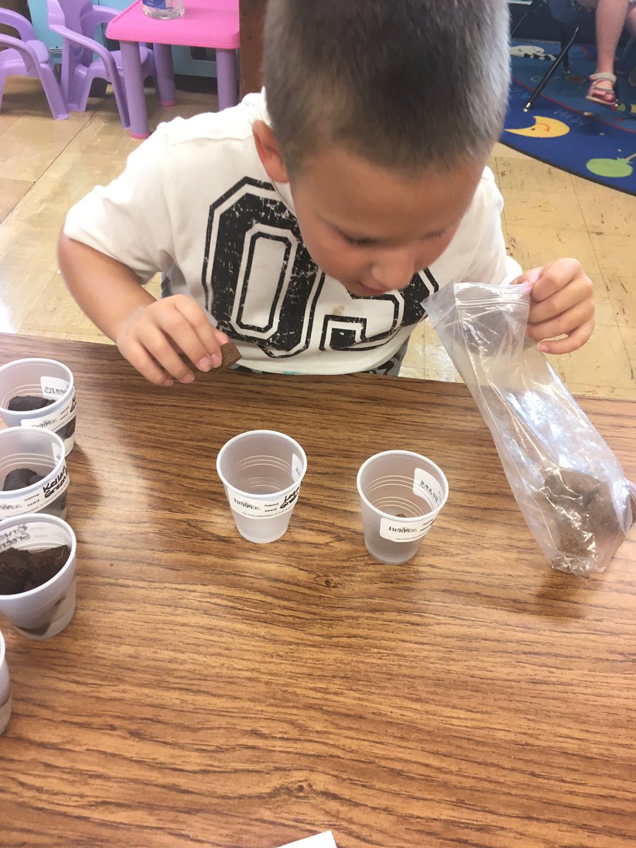 jodesgrable's tweet image. We were team garden this morning @watkinswildcats. As listed all the members of our plant team and how they all share the responsibility and work together for the same goal. A fun spin on our teamwork study in #OlympicTrainees.
#SPSExplore