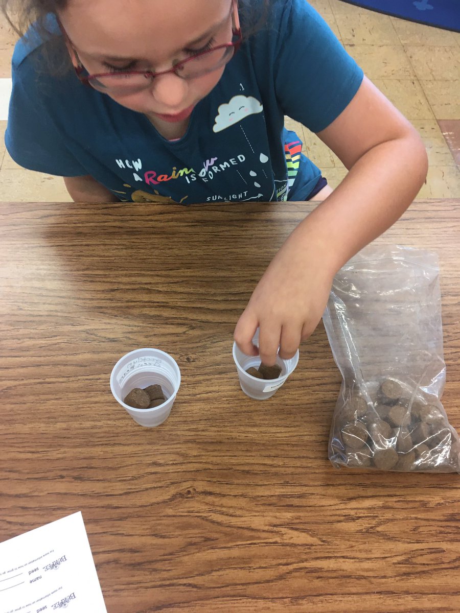 jodesgrable's tweet image. We were team garden this morning @watkinswildcats. As listed all the members of our plant team and how they all share the responsibility and work together for the same goal. A fun spin on our teamwork study in #OlympicTrainees.
#SPSExplore