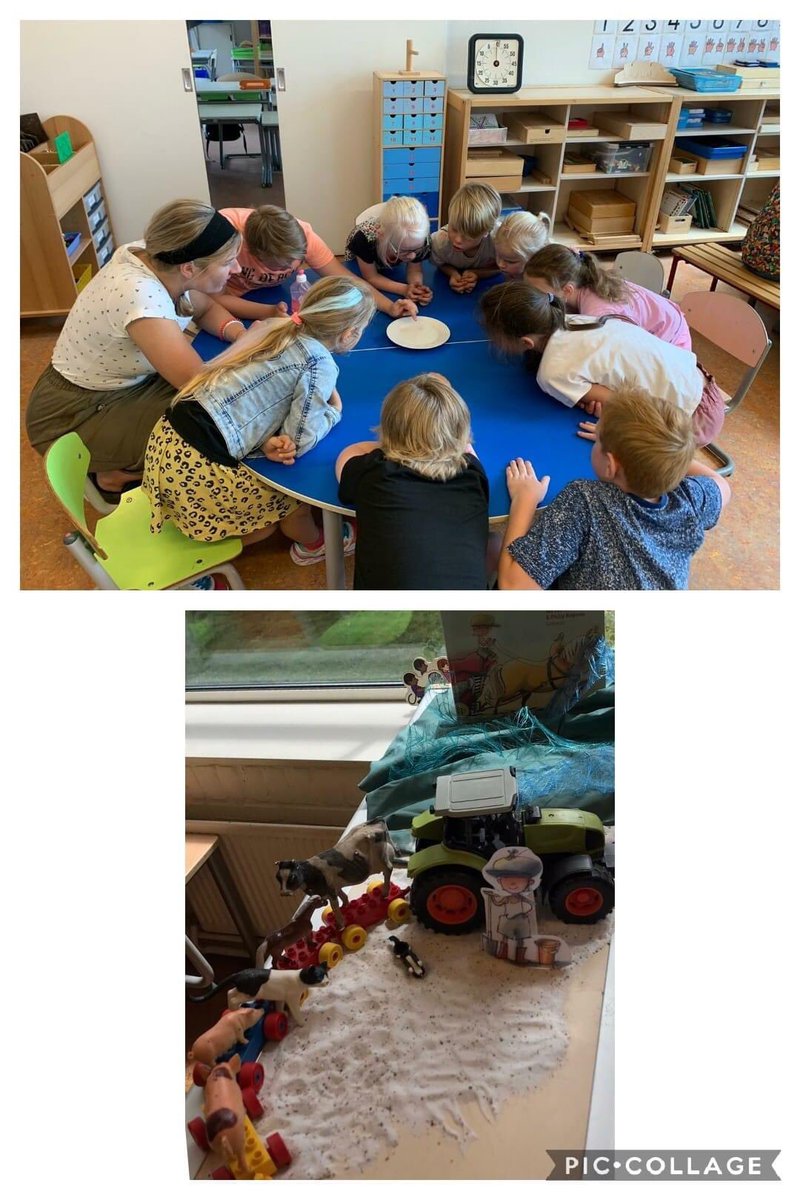 Er is alweer twee dagen heerlijk gewerkt op onze school. Met groep 1 en 2 wordt er in de ochtenden gewerkt aan de hand van het boek Boer Boris gaat naar zee. Tijdens de middagen wordt er schoolbreed gewerkt aan het thema Sience.