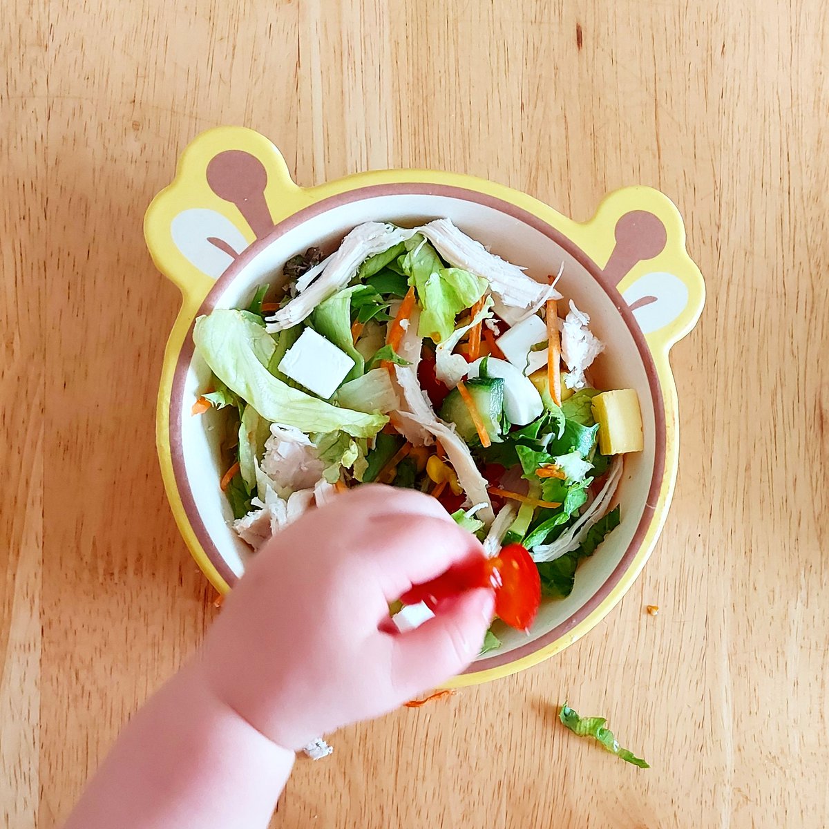 mamaNpest's tweet photo. Esther loves a salad!! https://t.co/kfVBng3G1g