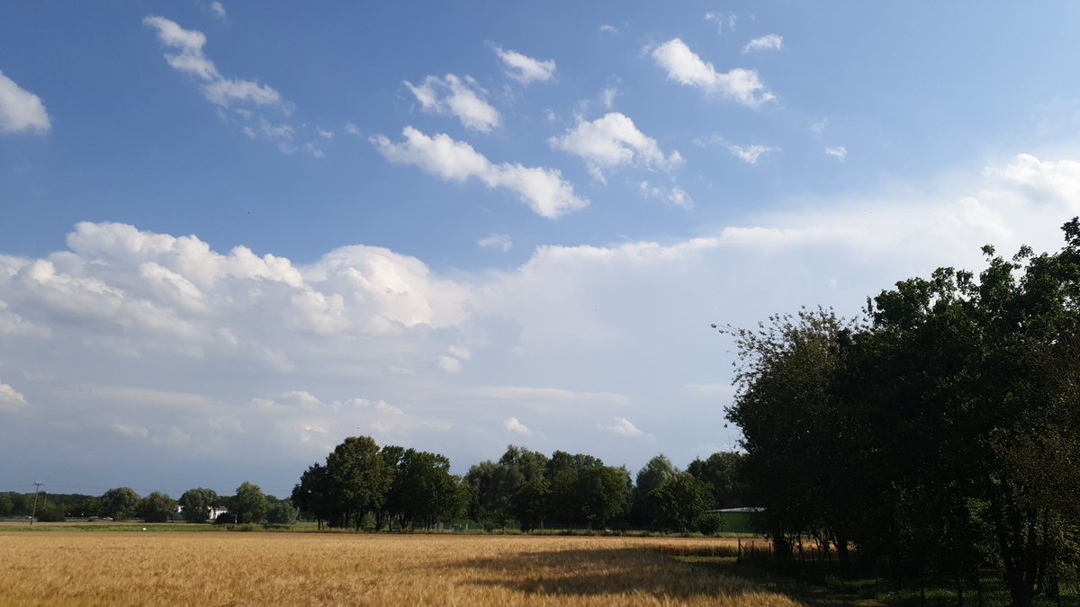 Boomel's tweet photo. Die Gewitterzelle zwischen Ulm und Augsburg zeigt #leftmover Tendenzen. Bild zeigt die Gewitterlinie im Südwesten von Ingolstadt aus.
#Gewitter https://t.co/uk4aVL1Yhm
