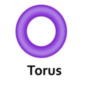 ann perkins: torus