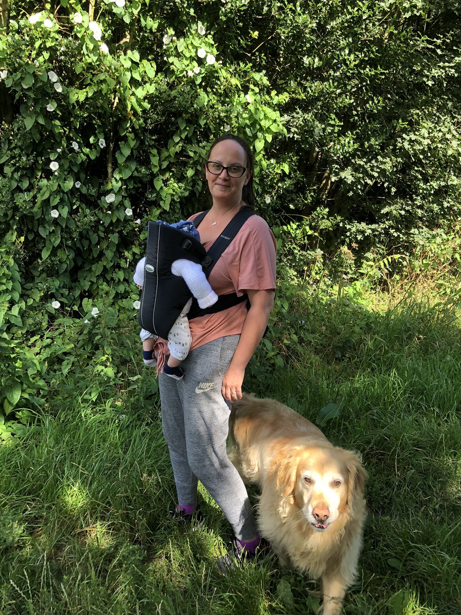 fionajgreen's tweet photo. Today’s walk in the countryside with my two boys. Nature and pets helping me through life https://t.co/qVLLe7X3FM