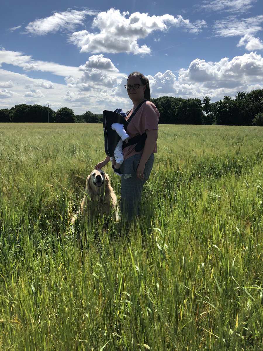 fionajgreen's tweet photo. Today’s walk in the countryside with my two boys. Nature and pets helping me through life https://t.co/qVLLe7X3FM