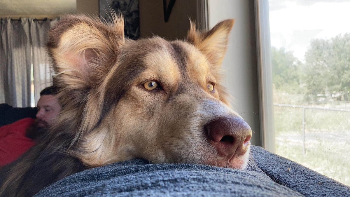Tabitha3330's tweet photo. #pepperjack at his post https://t.co/576wdPWzJG