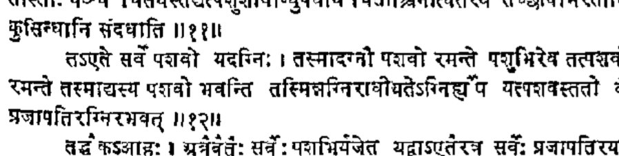 तेऽएते सर्वे पशवो यदग्निः These Pashus are Agni In word for "Victim" there that was imagined by translator.