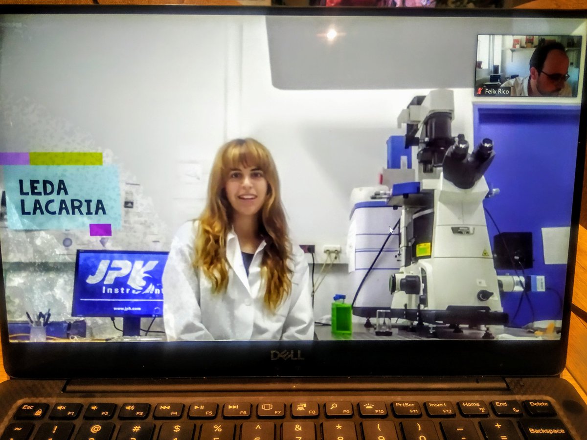 Lorena83's tweet photo. Leda's tutorial #AFMBioMed2020 is so cool! Thanks @Leda_Lcr @FM4B_Lab https://t.co/Ovmw7B6Cg6