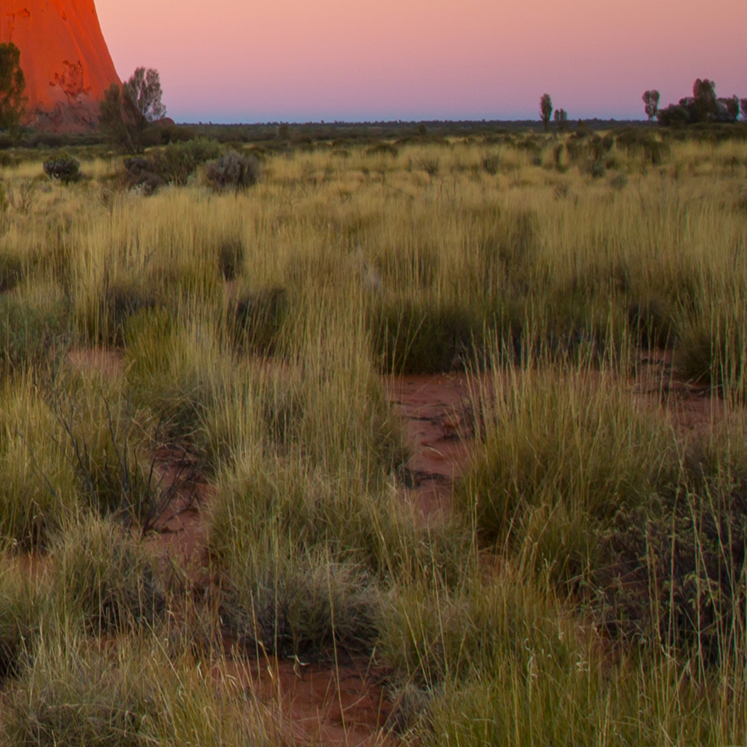 Do you find yourself reevaluating life during these times?  Where you've been, who you've spent time with...and how you would you spend your last days.  It's time like this when you are reminded...life is short! Make every second count. #trekforjoy  #uluru