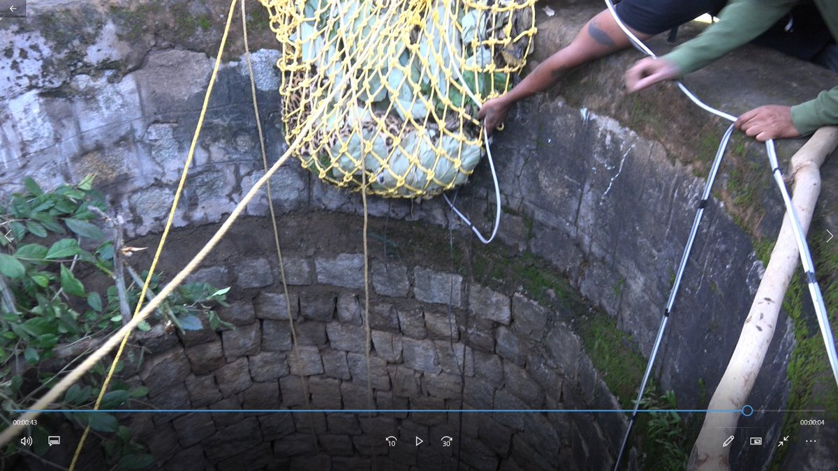 Our team came up with innovation. We designed the cage; fabricated on the spot to facilitate the darting process & lifted the cage & animal net smoothly without any hassle @CentralIfs  @IFS_Officers