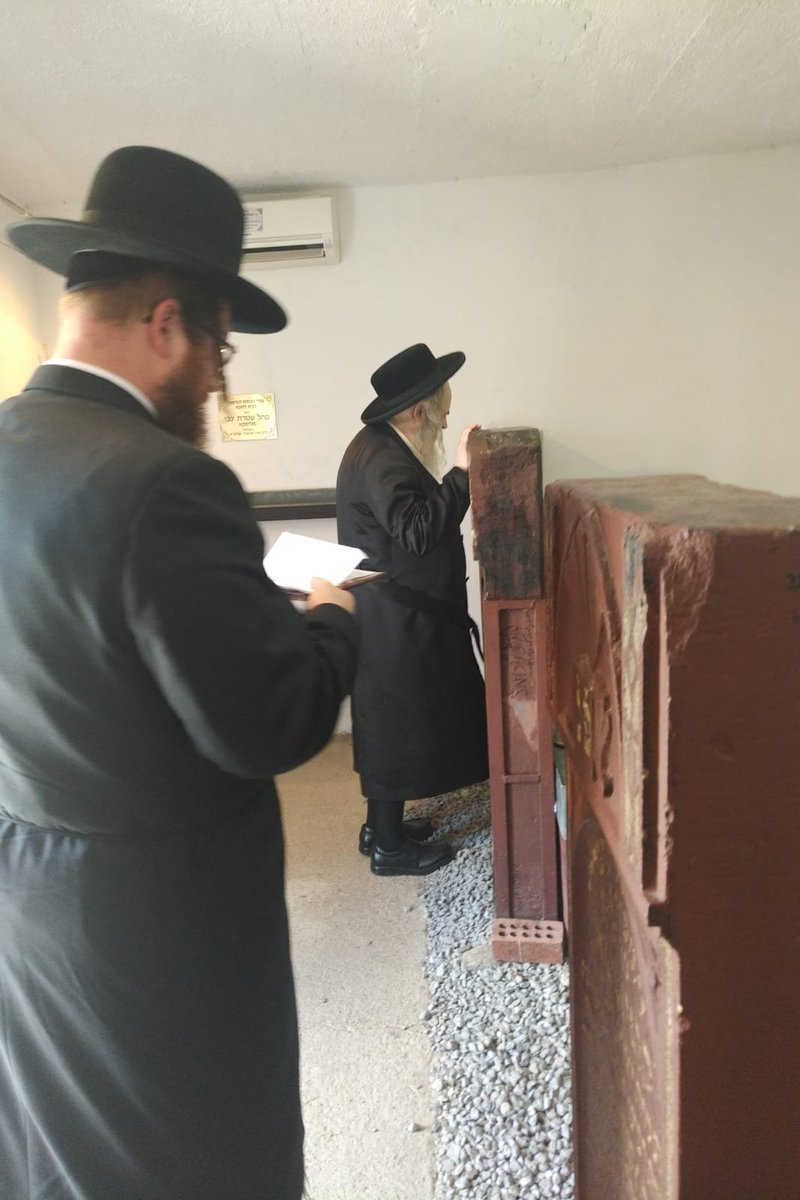 Bais Liska tweet media