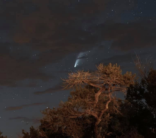 wnpa1938's tweet photo. #TourTuesday—Even though the Navajo Nation and Navajo National Monument are currently closed due to COVID-19, you can still enjoy their view of the Neowise comet from the comfort of your own home.
#FindYourVirtualPark #ParksToGo #RecreateResponsibly
Image: W. Yazzie (HUTR/NPS) https://t.co/gas0NEbhw7