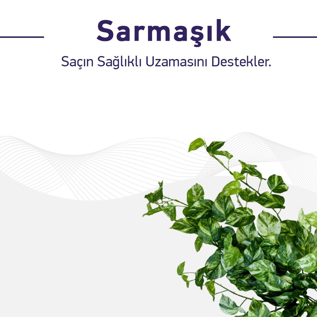 BioxcinOfficial's tweet photo. Çok sevilen Bioxcin Siyah Sarımsaklı Şampuanın içerik ve etkilerini öğrenmek ; ➡️
#Bioxcin #SaçlarınızDökülmesin #Bioxsine #şampuan #sarımsak #kokusuz #siyahsarımsak #siyahsarımsakşampuanı #sarımsaklışampuan #sarımsakşampuanı https://t.co/shPYKmK7ew