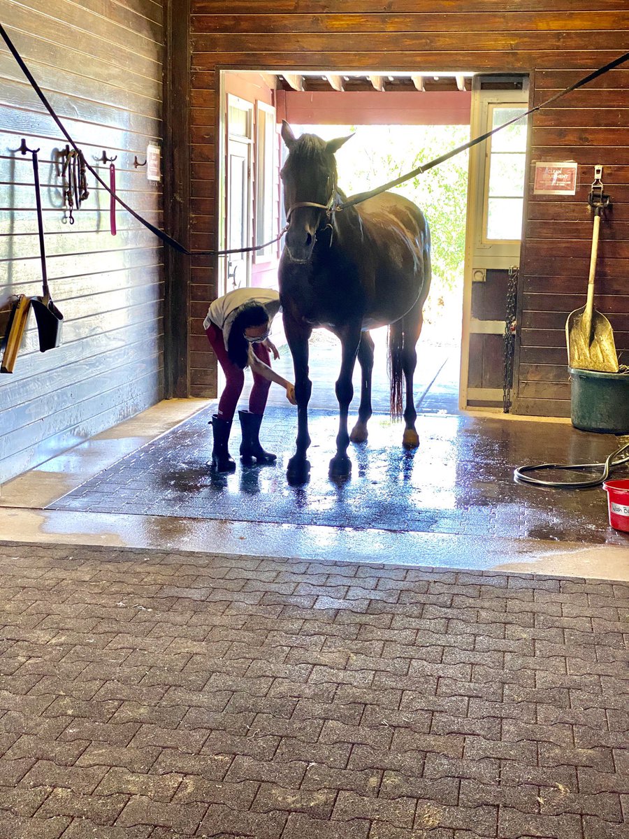 MadisonFieldsMD's tweet photo. There’s no better way to beat the heat than a nice bath to cool you down! https://t.co/B75W6sUCgR