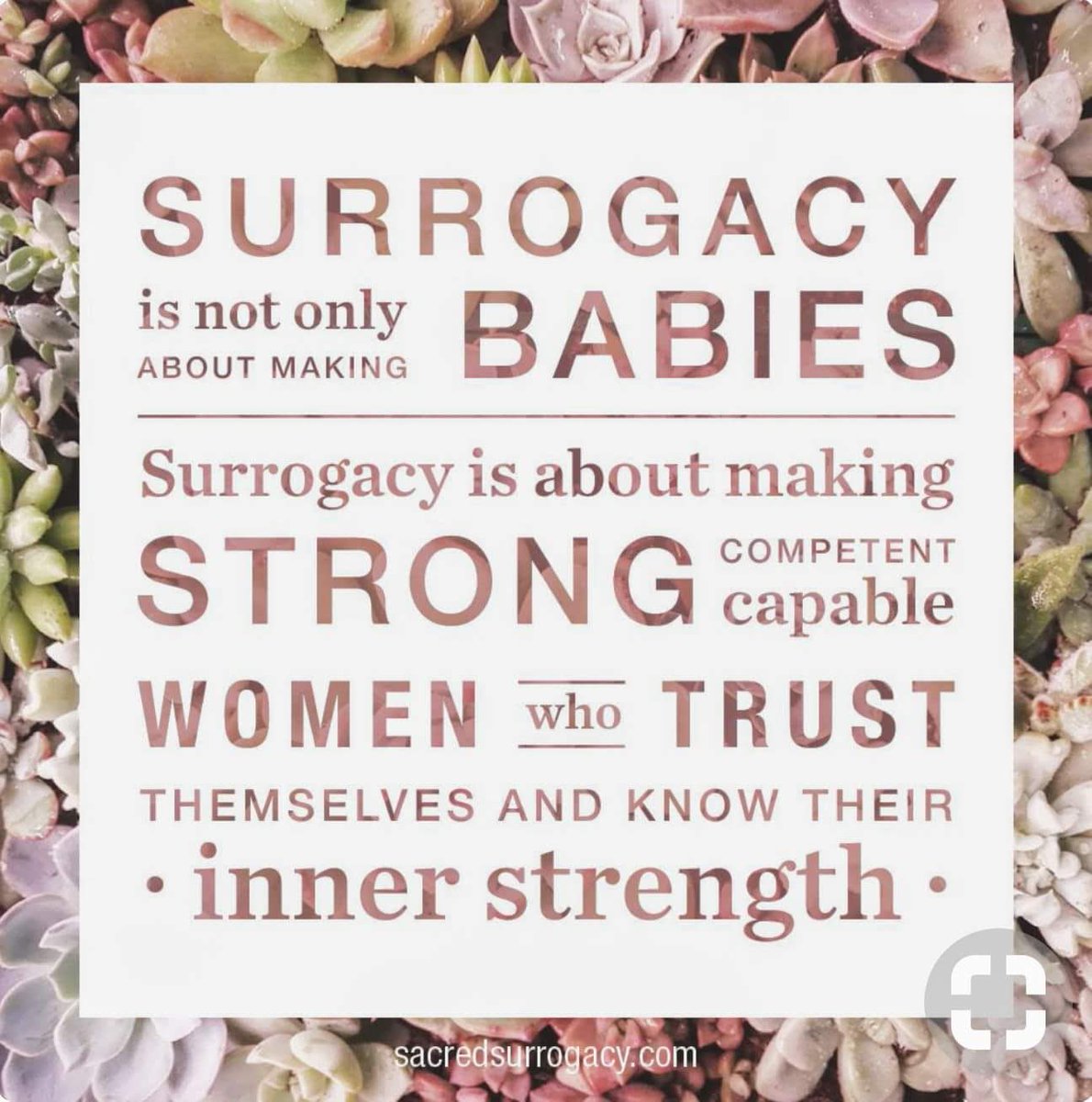 PSMPOC's tweet image. Best of Luck and Good Wishes to our CEO on her screening today at Create!  Fingers and toes crossed it all goes smoothly for you and your Intended Parents!  #MakingDreamsComeTrue #PlatinumSurrogacy #ExperienceThePlatinumDifference #TheJourneyBegins #PathtoParenthood #TeamWork