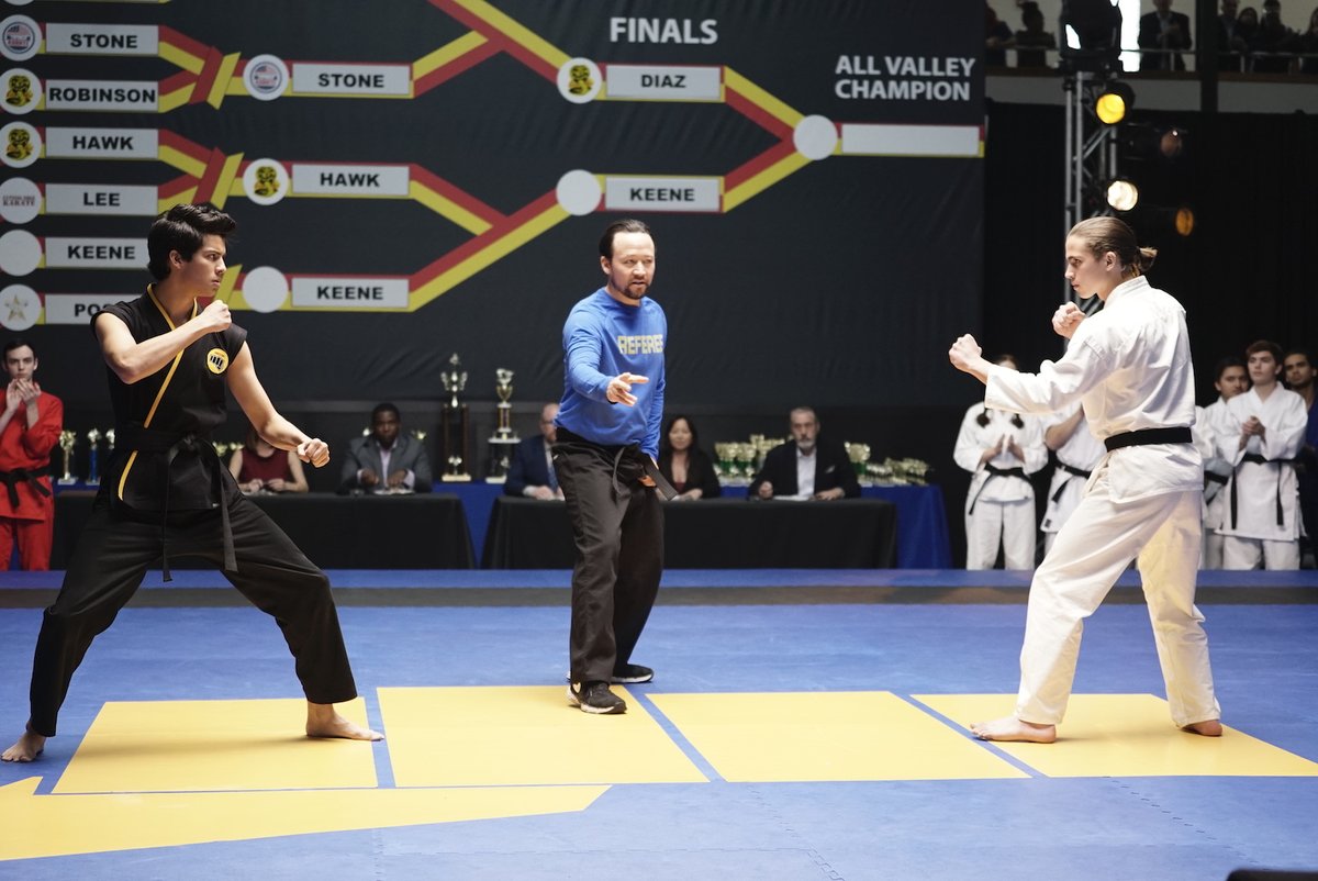 #CobraKai Seasons 1 &amp; 2 are coming to Netflix on August 28! 

Set 30 years after the original, now-successful Daniel LaRusso must face his old foe — down-and-out Johnny Lawrence — who seeks redemption by reopening the infamous Cobra Kai karate dojo