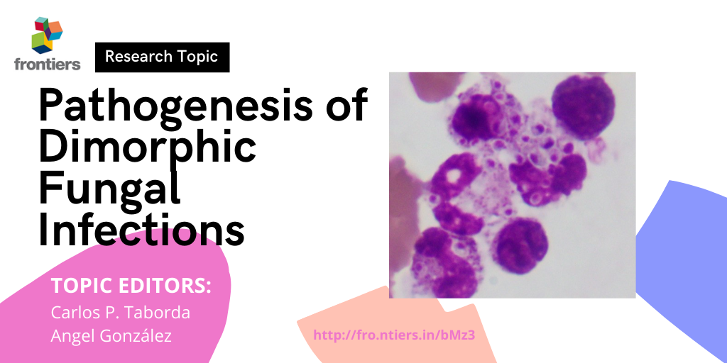 Mycoses 🍄 are life-threatening diseases, especially in patients with a compromised immune system. Check this new Research Topic on dimorphic fungi and their pathogenesis. Submissions open!

#pathogenicfungi
#dimorphicfungi

fro.ntiers.in/bMz3