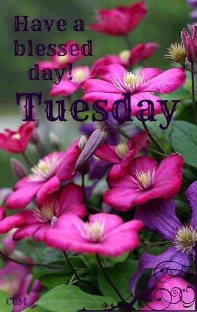 Wanda Watson (@wandafay54) on Twitter photo ‘Morning all! <a href="/bjcopas/">~Billie Jo~</a> <a href="/sharonePack/">Sharing</a> @lupier_58 <a href="/ChronicPainDad/">Chris✞chronicpainDAD</a> @PajamaDaze <a href="/shari_bayless/">Podydoe</a> <a href="/Lunarteddy/">Lunarteddy</a> <a href="/FibroSloth/">☃️☃️Fibro Sloth☃️☃️</a> <a href="/bouquetofhope/">Bouquet of Hope</a> @SueGoodall8 <a href="/cyndisauter/">City girl gone country</a> <a href="/babylisa51/">lisa jane</a> ‘Morning all! <a href="/bjcopas/">~Billie Jo~</a> <a href="/sharonePack/">Sharing</a> @lupier_58 <a href="/ChronicPainDad/">Chris✞chronicpainDAD</a> @PajamaDaze <a href="/shari_bayless/">Podydoe</a> <a href="/Lunarteddy/">Lunarteddy</a> <a href="/FibroSloth/">☃️☃️Fibro Sloth☃️☃️</a> <a href="/bouquetofhope/">Bouquet of Hope</a> @SueGoodall8 <a href="/cyndisauter/">City girl gone country</a> <a href="/babylisa51/">lisa jane</a>