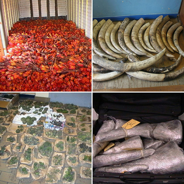 CapeNature tweet media