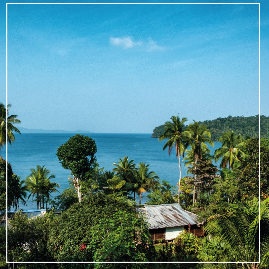 PHotelesCE's tweet photo. Bahía Solano es un lugar privilegiado donde el majestuoso océano se encuentra con la selva virgen. Este es uno de los destinos más biodiversos de Colombia. Las cómodas cabañas de Mapara Crab Lodge se ubican en una playa a solo 20 minutos del muelle de Bahía Solano. https://t.co/S3YchDQZ5B