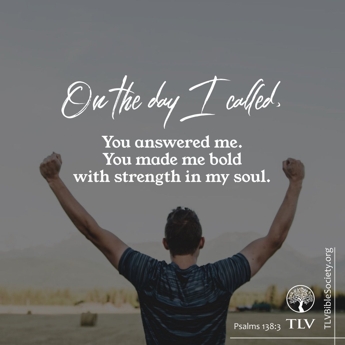 TLVBible's tweet photo. “On the day I called, You answered me. You made me bold with strength in my soul.”
Psalms 138:3 TLV

#tlvbible #verseoftheday📖 #scriptureverseoftheday  #biblereading #treeoflifeversion https://t.co/LDEGGBKRq6