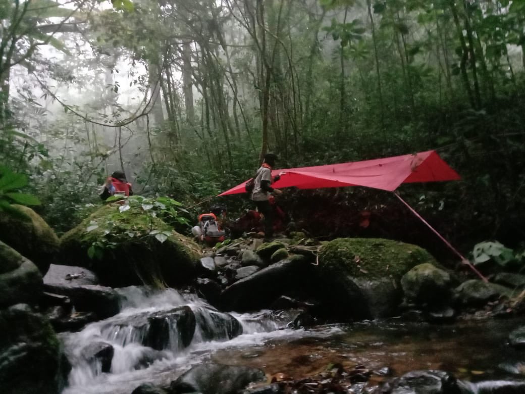 übermensch tweet media