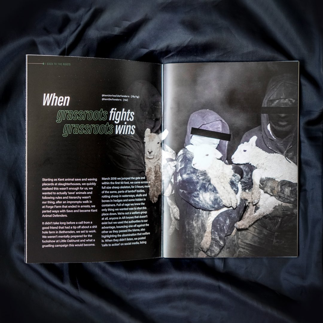 Dm us to get a copy of Wildfire magazine!! 🖤 It’s full of great information and resources for direct action and hit reports! And the money will go towards funds for equipment 🖤