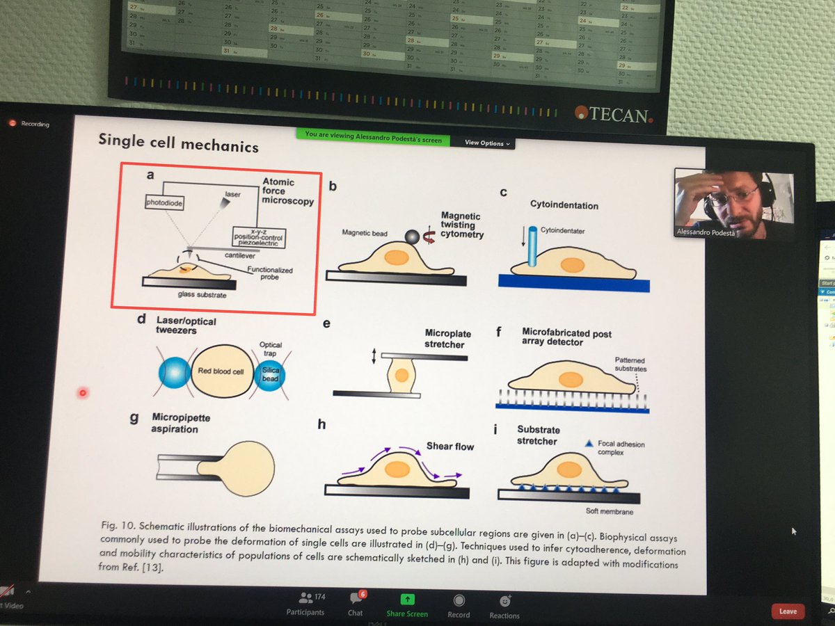 MehdiRavandeh's tweet photo. The BioAFM summer school #AFMBioMed2020, followed by great talks by @alicepyne on AFM imaging of DNA nanostructures and AFM based nanomechanics of cells by @Alessandro Podestà! Many thanks to @felix_rico and @Leda_Lcr and Sasha for practical training parts! https://t.co/vwrLdltfg8