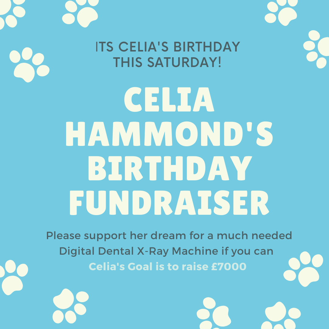 CeliaHammond's tweet photo. If you'd like to make Celia's Birthday this Saturday a #dayto remember,  please donate whatever you can to help towards her £7000 target so that we can help many more animals much more quickly and relieve them of the appalling pain of dental disease
https://t.co/pjddl1IfQf https://t.co/BmnHWL7kUT