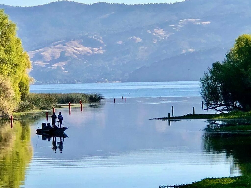 TheNorthCoastCA's tweet photo. Lose yourself in the beauty of Lake County, and discover peace that feeds your soul.
.
#plannowtravellater #lakecountyca #clearlydifferent #getaway #clearlylakecounty #visitcalifornia #bucketlisttravel #travelcalifornia #hiddengem #clearlakeca
.
#repost⦠https://t.co/qjFkt9gdJJ https://t.co/Q1sSTCDsir