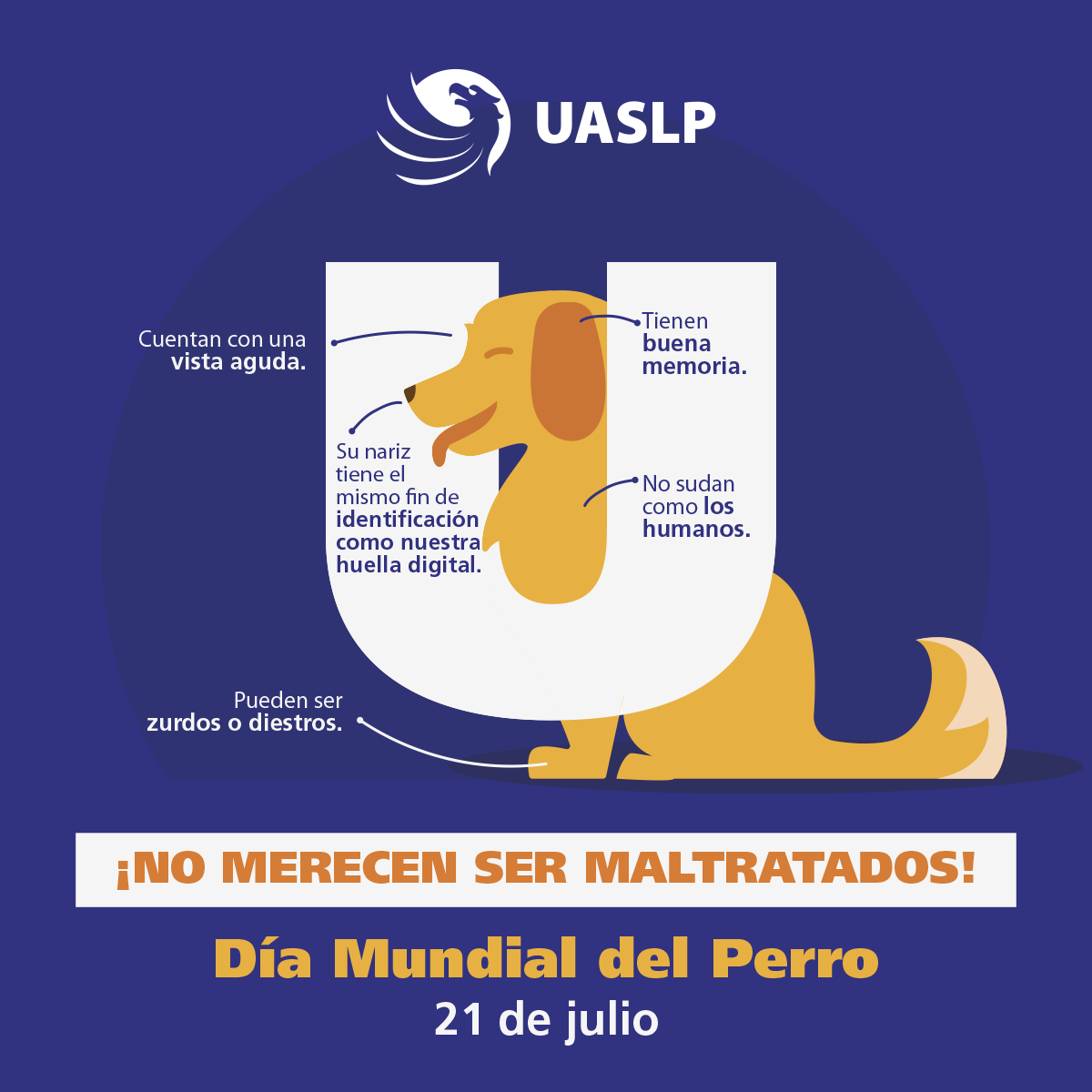 LaUASLP's tweet photo. "El amor es una palabra de cuatro patas" 

Hoy celebramos el #DíaMundialDelPerro 🐕💞 https://t.co/j97iV7Sauz