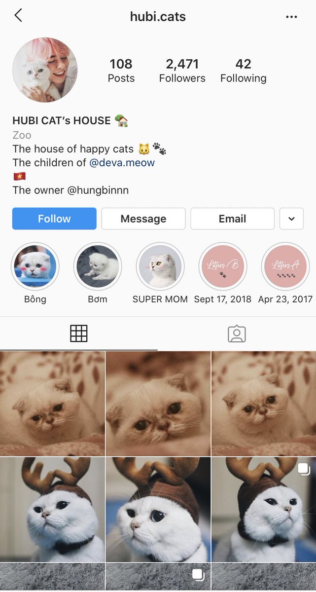 10. He is an animal lover. He even has an Instagram dedicated to his cats that he loves so much (@/hubi.cats on Instagram) cutest ever