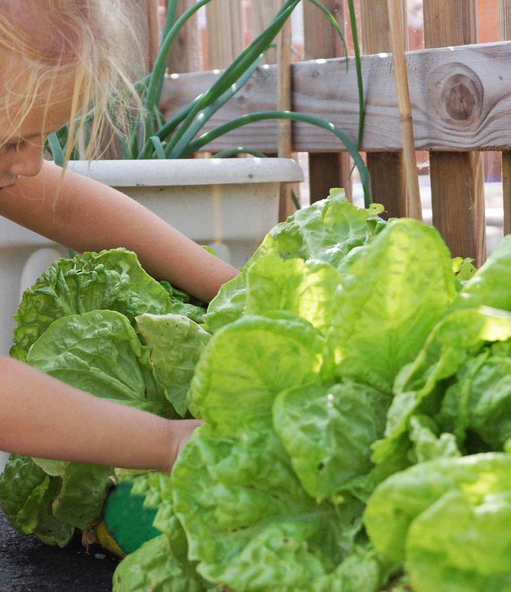 LLStAnnes's tweet photo. Are you looking for an early years setting that can provide exceptional quality teaching and learning experiences? We have spaces available from September for children aged 2 years, 6 months and above. Get in touch today - 01934 520461 or littlelearners@stannesprimaryschool.co.uk https://t.co/871qJs1IEC