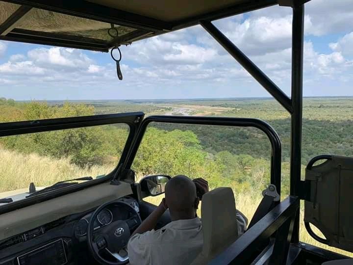 Nhlamu_Nyalungu's tweet photo. The beauty of the wilderness #TourismIsBleeding @admire_ndamane @mmKubayiNgubane @WisaniMusengi https://t.co/v6VoY1em1V