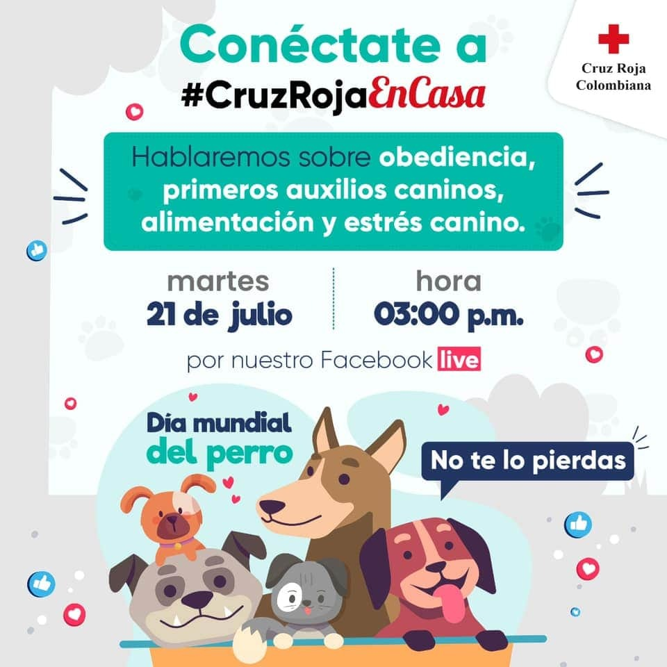 CaracolRadioTun's tweet photo. #Boyacá | AlAire en Hoy por Hoy de @CaracolRadioTun, hablamos con Paula Sora referente de comunicaciones de 
@cruzrojaboy sobre cuidados, primeros auxilios caninos, alimentación y estrés canino, en #DíaDelPerro. https://t.co/9TKUx1dZAE