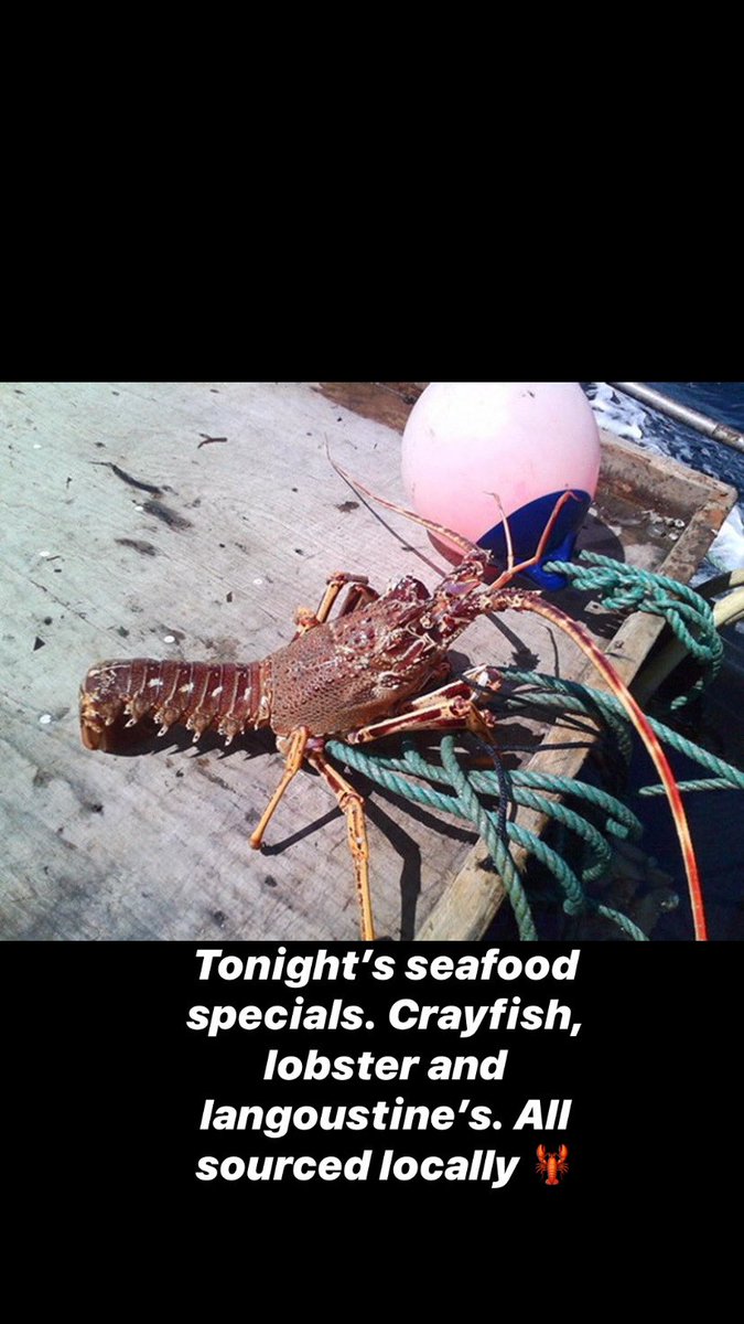 Tonight’s seafood specials. Crayfish, lobster and langoustine’s. All sourced locally 🦞#thetobermoryhotel #tobermoryhotel #eatlocal #seafood #localseafood #lobster #crayfish #langoustine #isleofmullseafood #mullfishing #localfishing #localfishermen